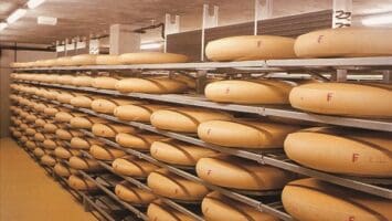 ELPRO_aplikacija_vlaga in temperature pri proizvodnji sira in v prehrambni oz. živilski industriji